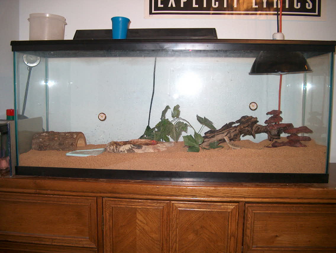 trogdors home