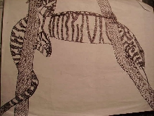 Nile monitor