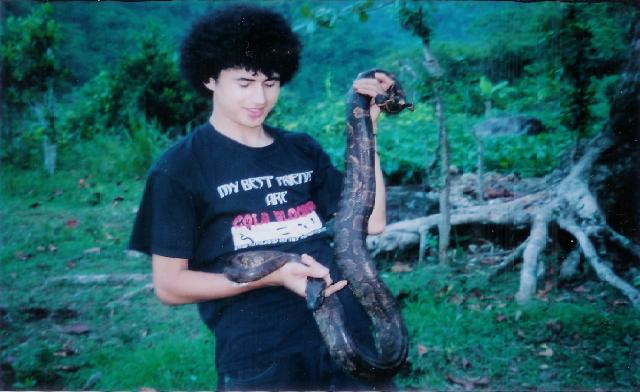 clouded boa