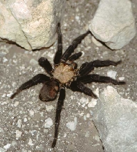 I.D. help please...