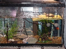Tank Today