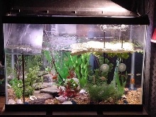 New Plants Added