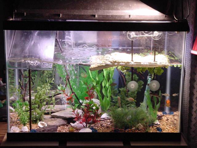New Plants Added
