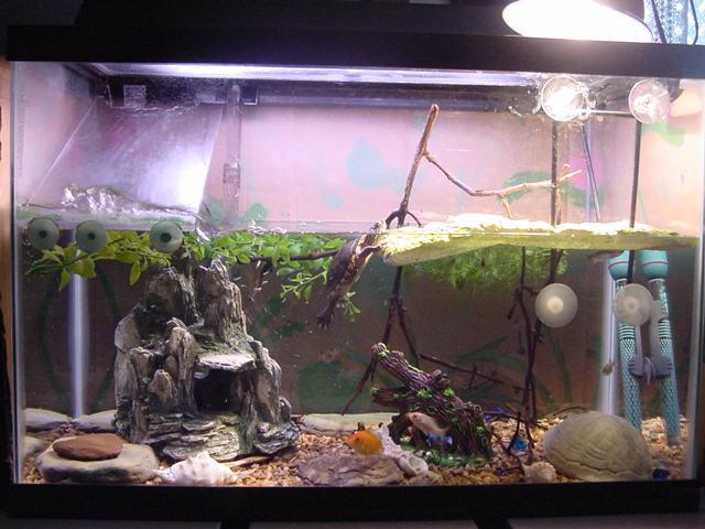 Tank 10-14-04
