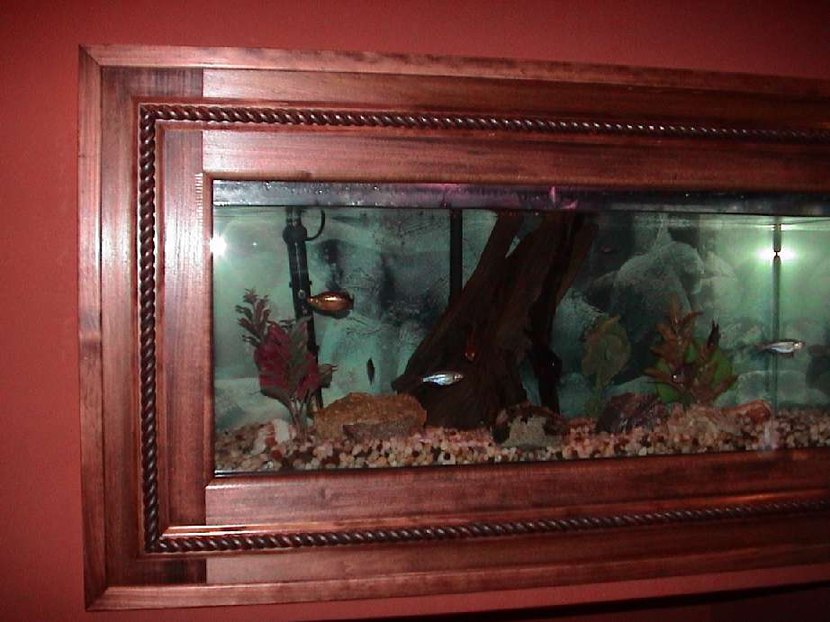 Tank 4