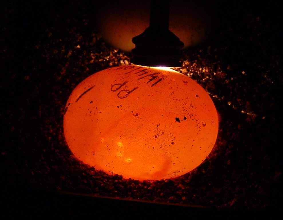 Pyxis planicauda egg