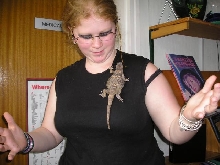 Chuckwalla