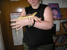 my berber skink
