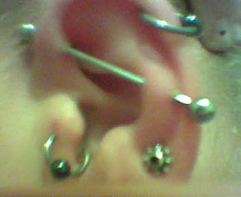 my scaffold missed dearly