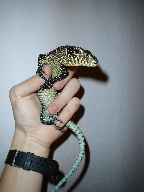vasquez3