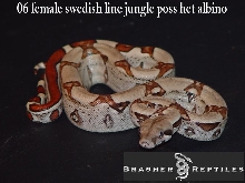 female jungle 1