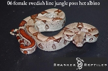 female jungle 1a