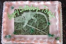 Last Years Cake