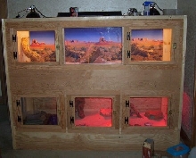 Reptile Cage