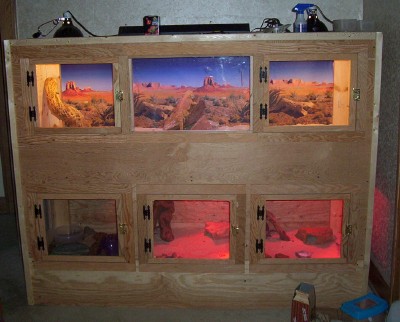Reptile Cage