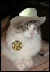 Sheriff SamMonsterCat