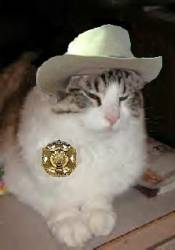 Sheriff SamMonsterCat