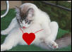 Hearts A'twitter