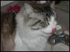 Lickin' my chops