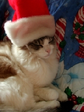 SantaSamM