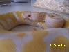 albino female2