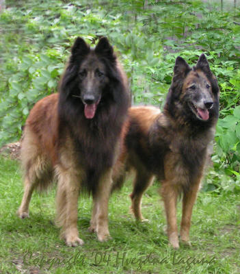 Zeus de Sincfal and Charlote Hvezdna Laguna