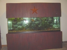 125 gallon with canopy