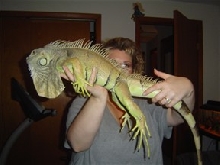 Irwin the monster!