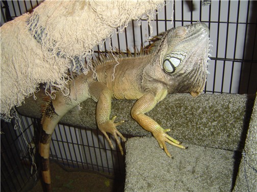 Irwin Hangin out