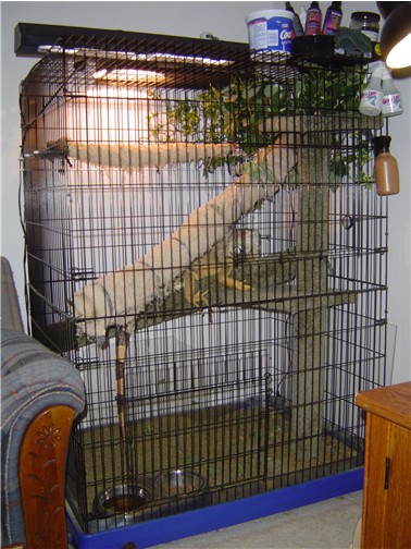 Irwin's Cage