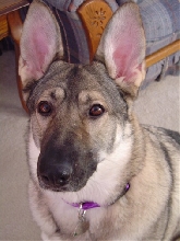 Kaiya