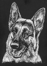 GSD Art