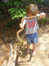 son w/ Hoke Co Corn