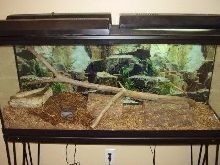 entire cage