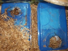 humidity boxes