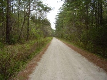 sand road
