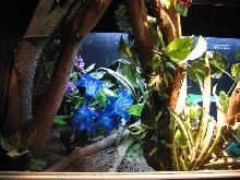 view of the dig box