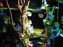 another view