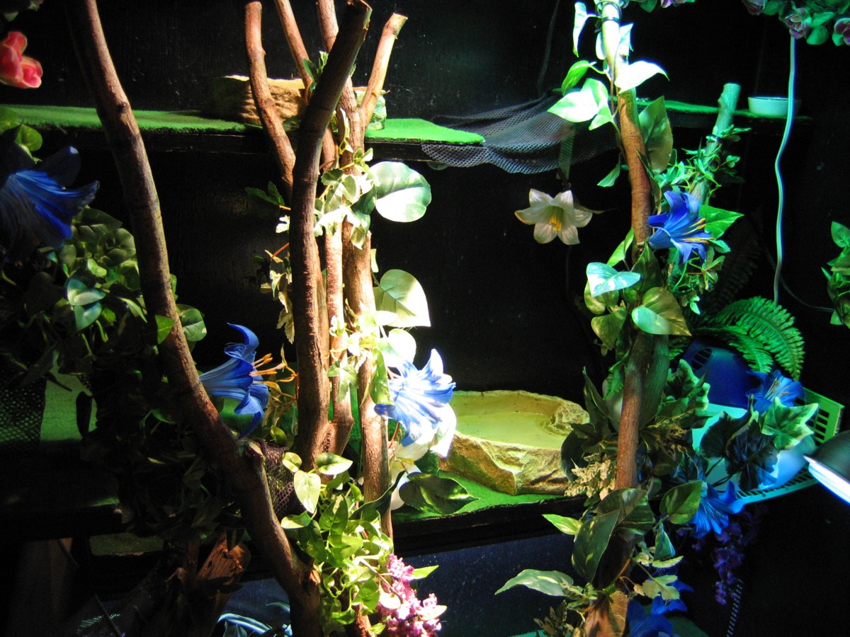 another view