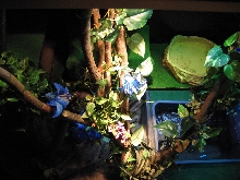 view from above