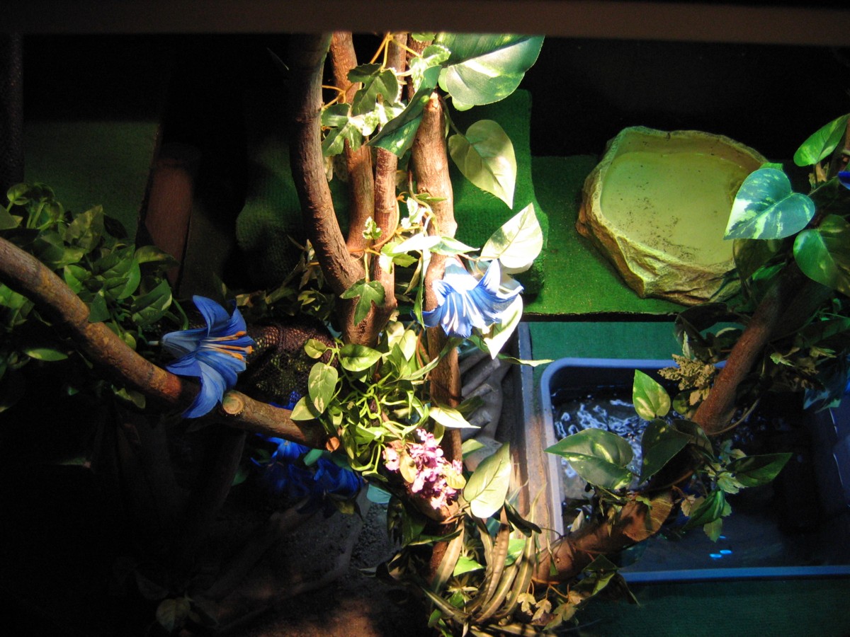 view from above