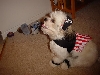 Abby at Halloween