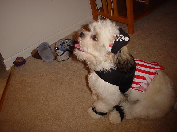 Abby at Halloween