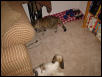 Abby and her sister Bobby