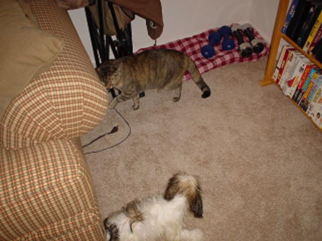 Abby and her sister Bobby