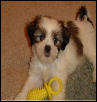 Abby and her favorite toy