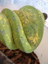 Side View