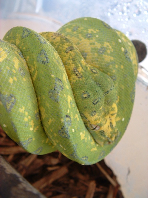 Side View