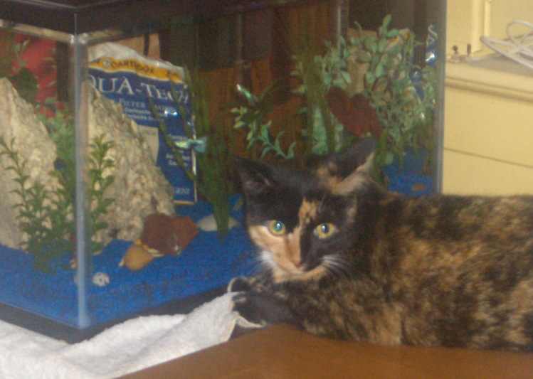 bijou and fishies