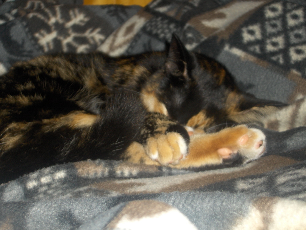 Baby Bijou Sleeping